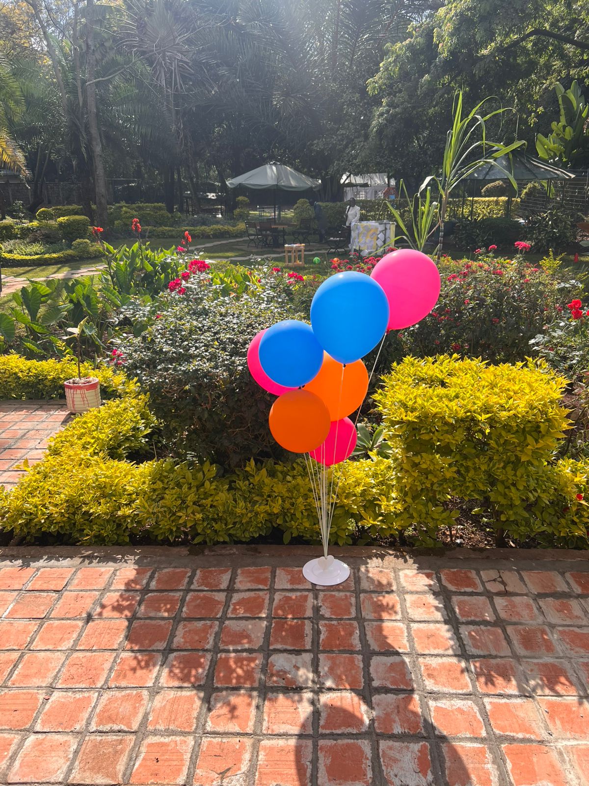 Birthday & Event Spaces