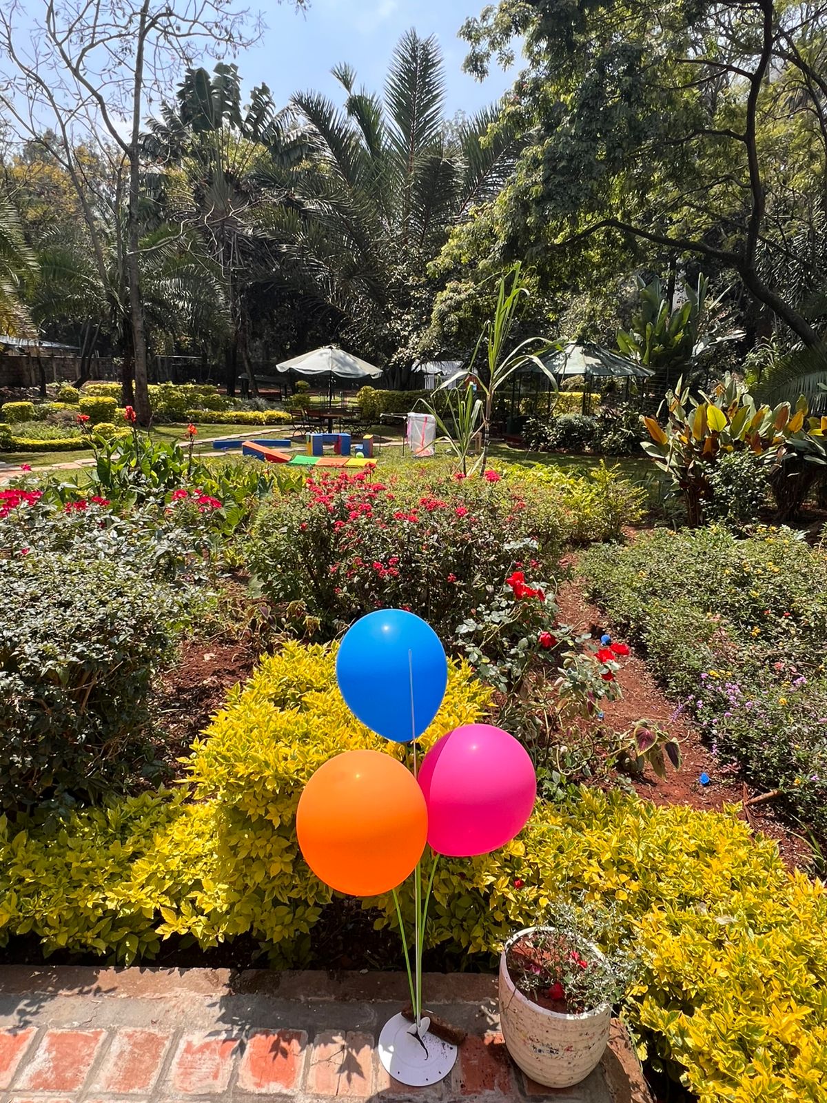 Birthday Parties