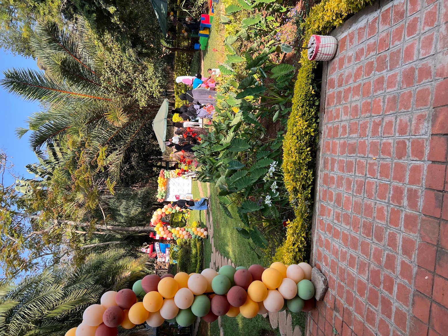 Birthday Parties